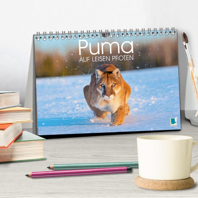 Produktbild: Puma: Auf leisen Pfoten (Tischkalender 2026 DIN A5 quer), CALVENDO Monatskalender