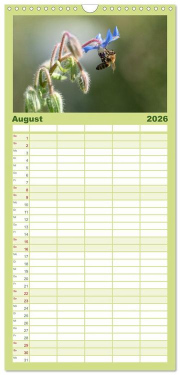 Produktbild: Familienplaner 2026 - Hummeln und Bienen mit 5 Spalten (Wandkalender, 21 x 45 cm) CALVENDO