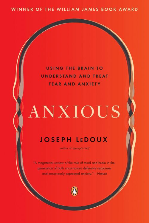 Produktbild: Anxious