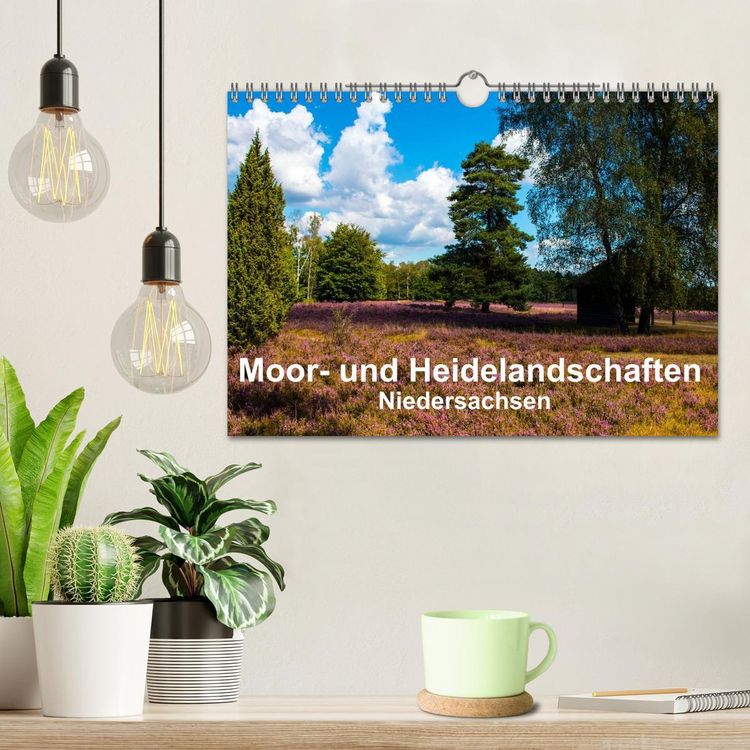 Produktbild: Moor- und Heidelandschaften Niedersachsen (Wandkalender 2026 DIN A4 quer), CALVENDO Monatskalender