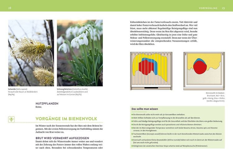 Produktbild: Das Bienenjahr