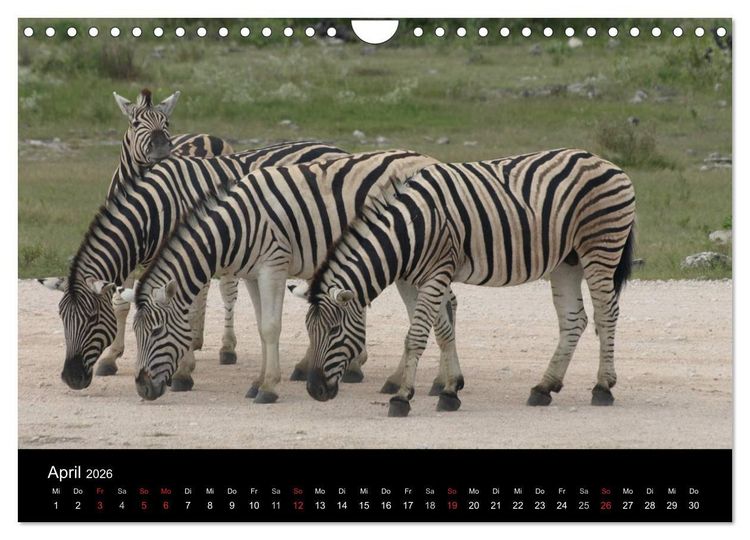 Produktbild: W&uuml;stenzauber Namibia (Wandkalender 2026 DIN A4 quer), CALVENDO Monatskalender