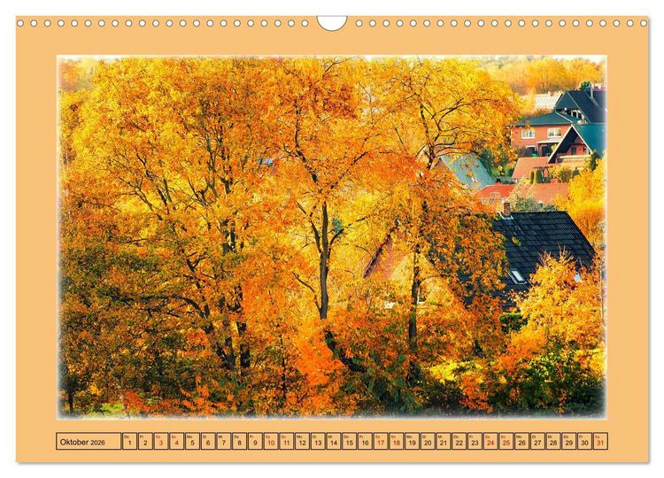 Produktbild: Gr&uuml;ne Welt DAMME (Wandkalender 2026 DIN A3 quer), CALVENDO Monatskalender