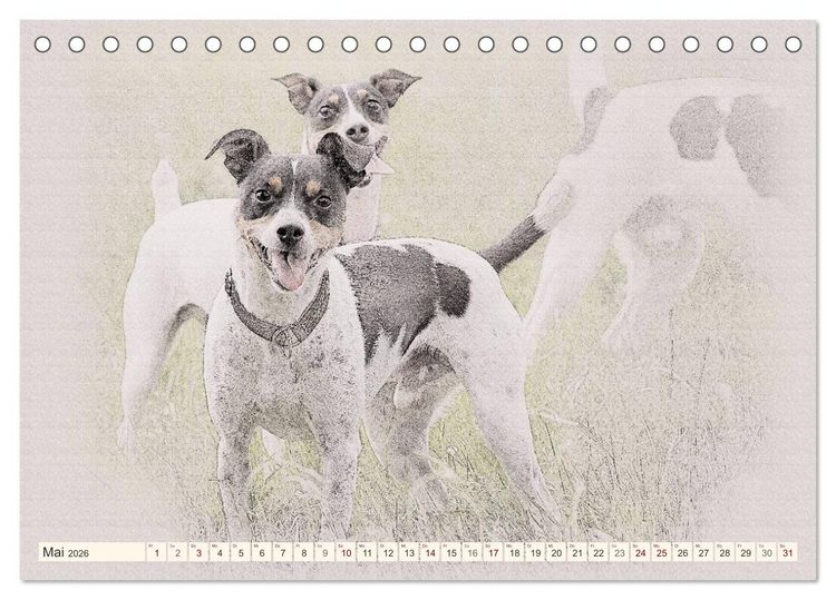 Produktbild: Bodeguero Andaluz 2026 (Tischkalender 2026 DIN A5 quer), CALVENDO Monatskalender