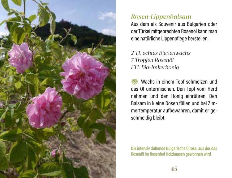 Produktbild: Rosen f&uuml;r Genie&szlig;er