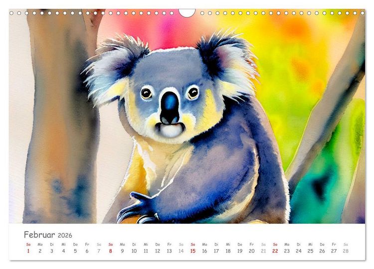 Produktbild: Der Koala 2026. Aschgrauer Beutelb&auml;r (Wandkalender 2026 DIN A3 quer), CALVENDO Monatskalender