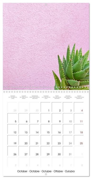 Produktbild: Leaves and flowers of Burano (Wall Calendar 2026 12 &times; 12 Inch) CALVENDO 12 Month Wall Calendar