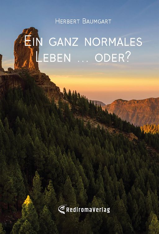Produktbild: Ein ganz normales Leben ... oder?