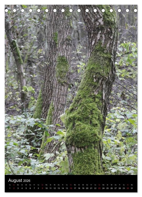 Produktbild: Wunderbarer Spreewald (Tischkalender 2026 DIN A5 hoch), CALVENDO Monatskalender