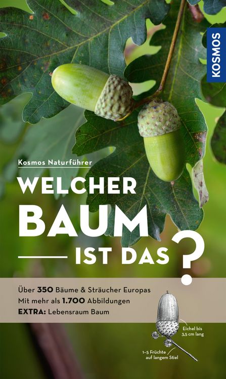 Produktbild: Welcher Baum ist das?