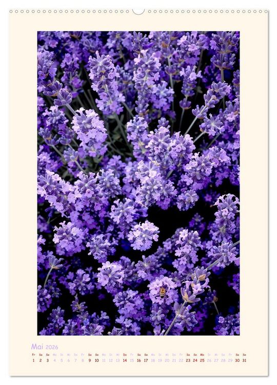 Produktbild: Lavendel (hochwertiger Premium Wandkalender 2026 DIN A2 hoch), Kunstdruck in Hochglanz