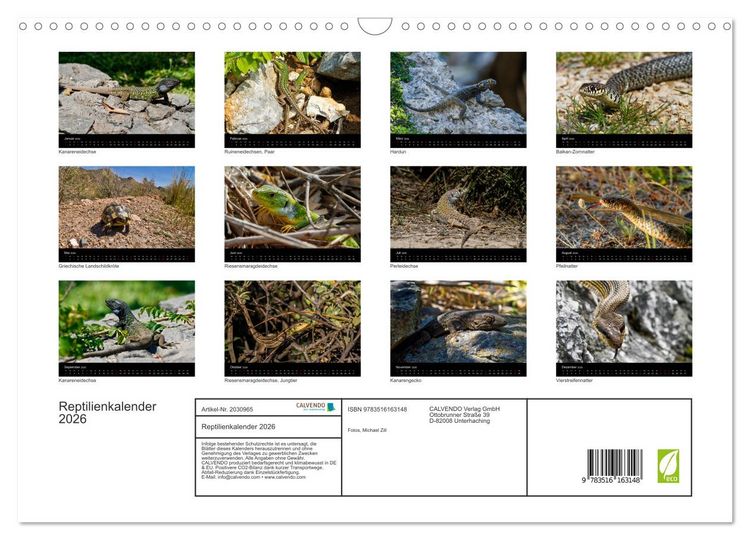 Produktbild: Reptilienkalender 2026 (Wandkalender 2026 DIN A3 quer), CALVENDO Monatskalender