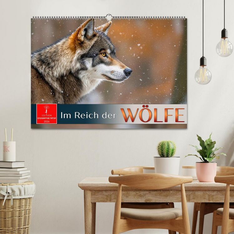 Produktbild: Im Reich der W&ouml;lfe (Wandkalender 2026 DIN A2 quer), CALVENDO Monatskalender