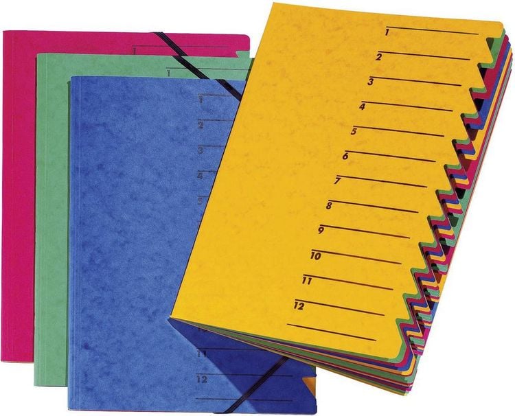 Produktbild: PAGNA&reg; Ordnungsmappe Easy, 12teilig blau