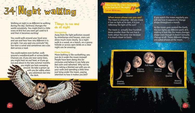 Produktbild: Year of Nature Walks and Games
