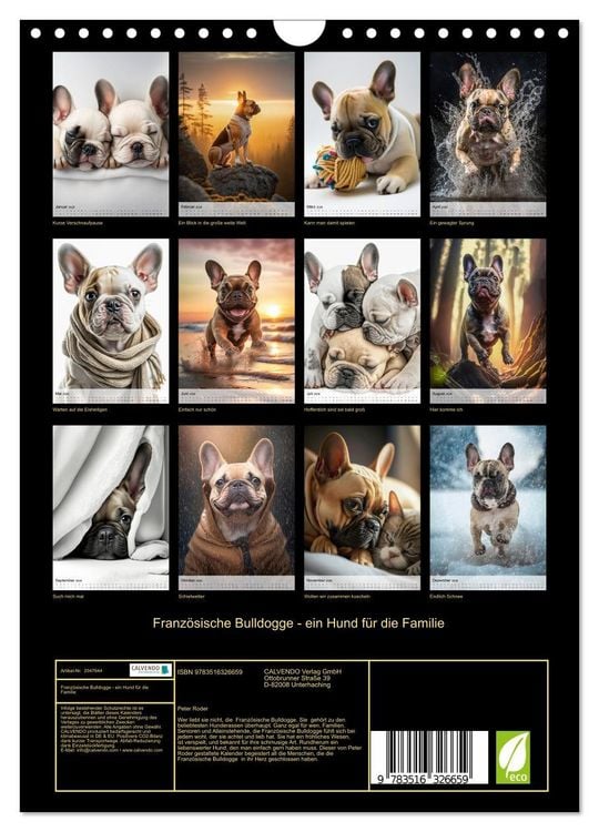 Produktbild: Franz&ouml;sische Bulldogge - ein Hund f&uuml;r die Familie (Wandkalender 2026 DIN A4 hoch), CALVENDO Monatskalender