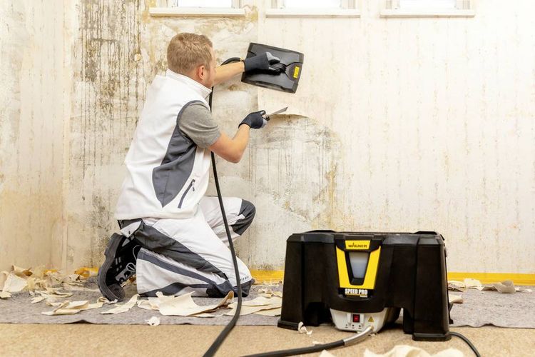 Produktbild: Wagner SteamForce Speed Pro Dampf-Tapetenabl&ouml;ser 2750W