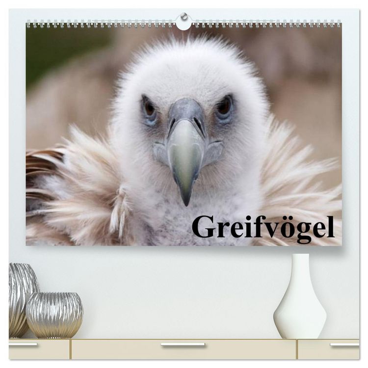 Produktbild: Greifv&ouml;gel (hochwertiger Premium Wandkalender 2026 DIN A2 quer), Kunstdruck in Hochglanz