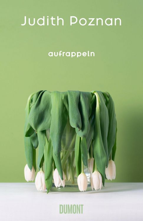 Produktbild: Aufrappeln