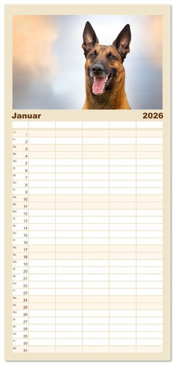 Produktbild: Familienplaner 2026 - Mit dem Malinois durch das Jahr mit 5 Spalten (Wandkalender, 21 x 45 cm) CALVENDO