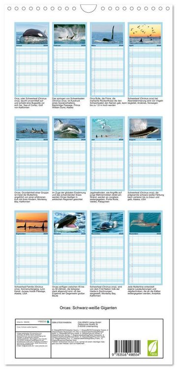 Produktbild: Familienplaner 2026 - Orcas: Schwarz-wei&szlig;e Giganten mit 5 Spalten (Wandkalender, 21 x 45 cm) CALVENDO