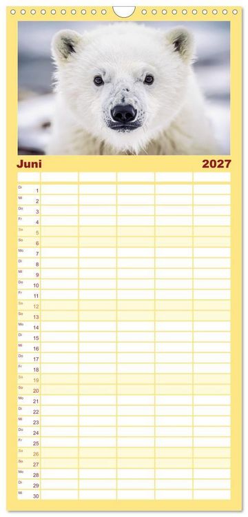 Produktbild: Familienplaner 2027 - Babys der Wildnis mit 5 Spalten (Wandkalender, 21 x 45 cm) CALVENDO