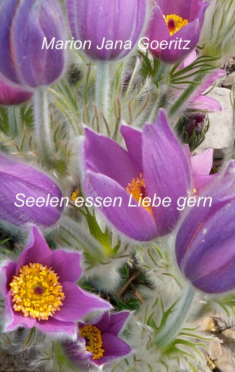 Produktbild: Seelen essen Liebe gern