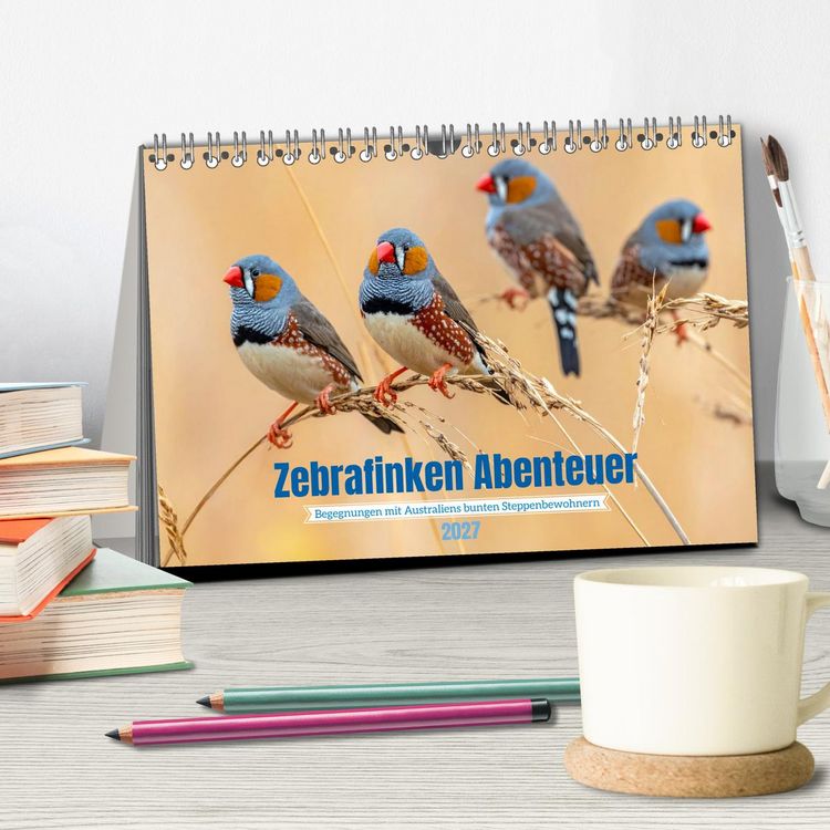 Produktbild: Zebrafinken Abenteuer (Tischkalender 2027 DIN A5 quer), CALVENDO Monatskalender