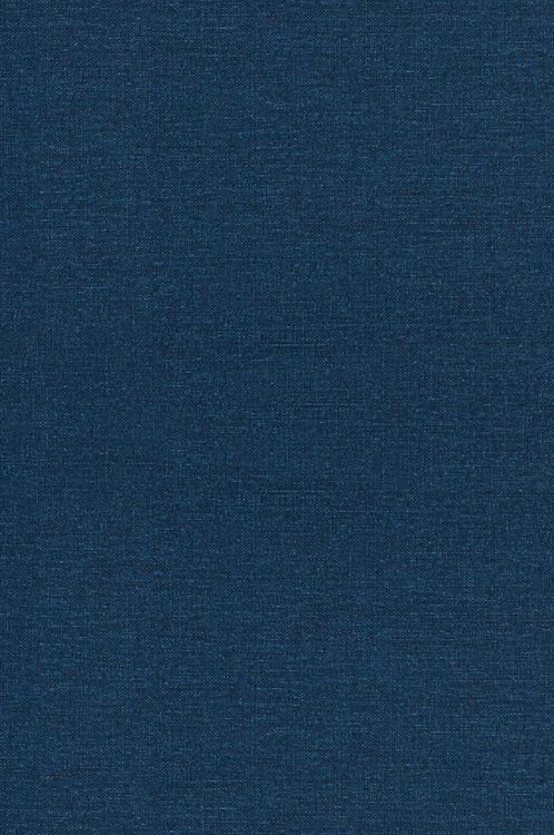 Produktbild: The Mortal Presidency