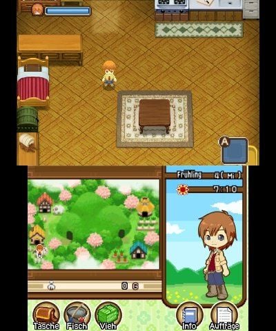 Produktbild: Harvest Moon: Tale of Two Towns (3DS)
