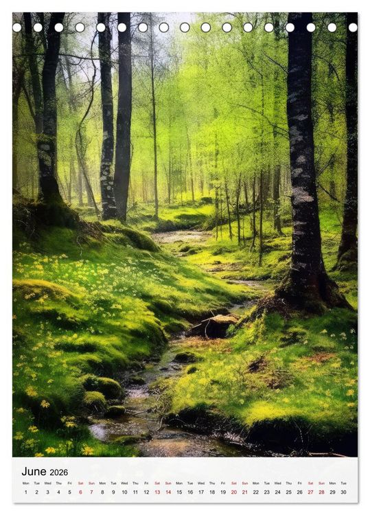 Produktbild: Dreamscapes of the Forest (Desk Calendar 2026 DIN A5 portrait), CALVENDO 12 Month DeskCalendar