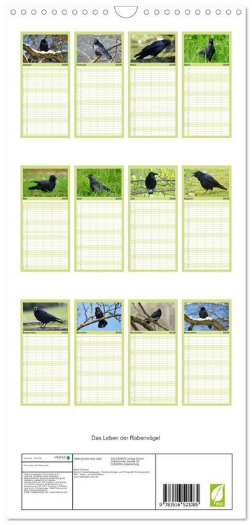 Produktbild: Familienplaner 2026 - Das Leben der Rabenv&ouml;gel mit 5 Spalten (Wandkalender, 21 x 45 cm) CALVENDO
