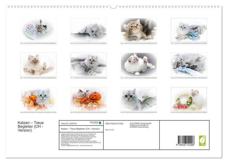 Produktbild: Katzen &ndash; Treue Begleiter (CH - Version) (hochwertiger Premium Wandkalender 2026 DIN A2 quer), Kunstdruck in Hochglanz