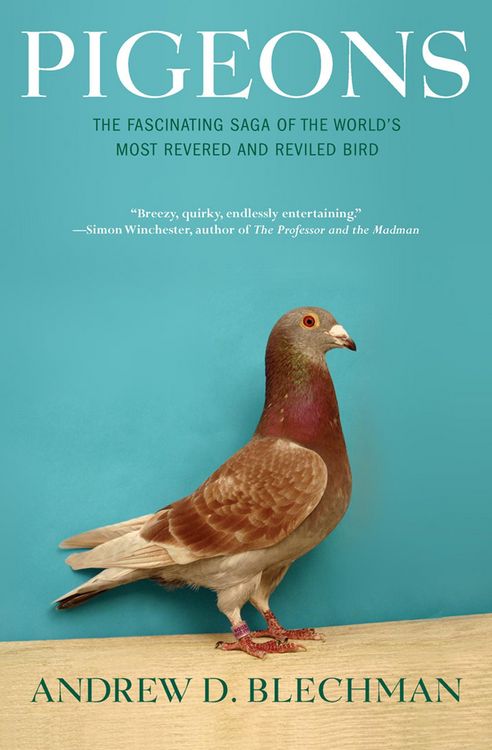 Produktbild: Pigeons