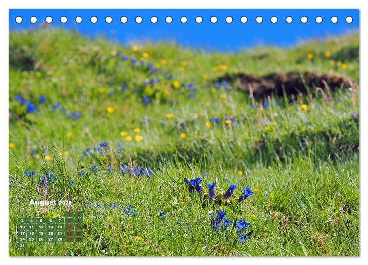 Produktbild: Gro&szlig;glockner wundersch&ouml;ne Berg- und Tierwelt (Tischkalender 2026 DIN A5 quer), CALVENDO Monatskalender
