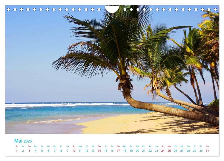Produktbild: Unter Palmen 2026. Impressionen von den sch&ouml;nsten Str&auml;nden der Welt (Wandkalender 2026 DIN A4 quer), CALVENDO Monatskalender