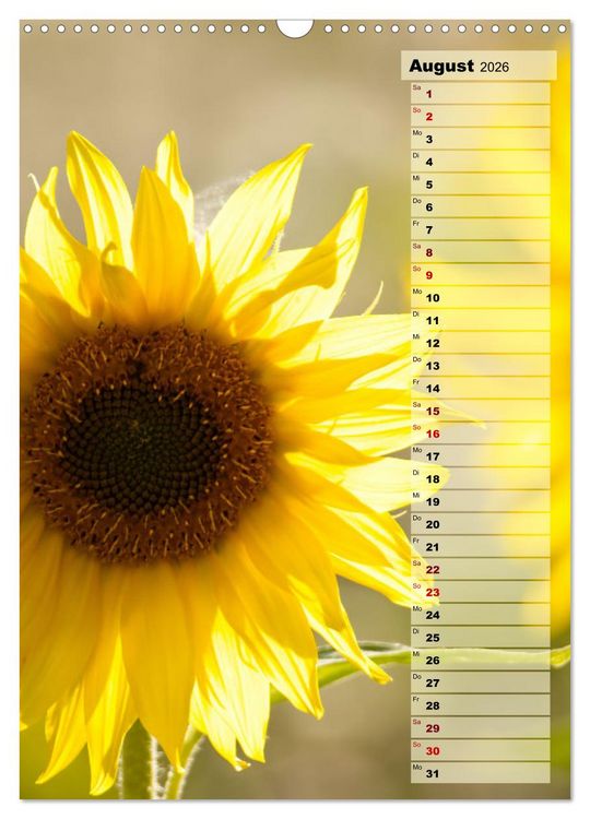 Produktbild: Leuchtende Sonnenblumen, sonnige Aussichten das ganze Jahr (Wandkalender 2026 DIN A3 hoch), CALVENDO Monatskalender