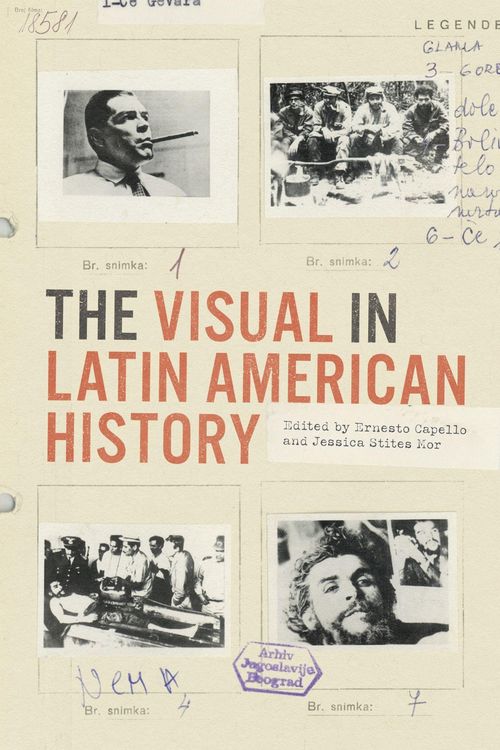 Produktbild: The Visual in Latin American History