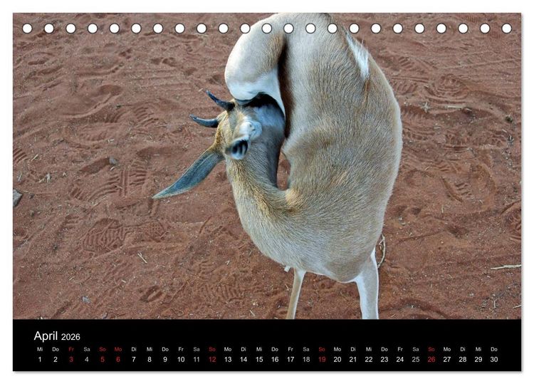 Produktbild: Afrika (Tischkalender 2026 DIN A5 quer), CALVENDO Monatskalender
