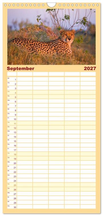 Produktbild: Familienplaner 2027 - Afrika Wildlife-Fotografien mit 5 Spalten (Wandkalender, 21 x 45 cm) CALVENDO