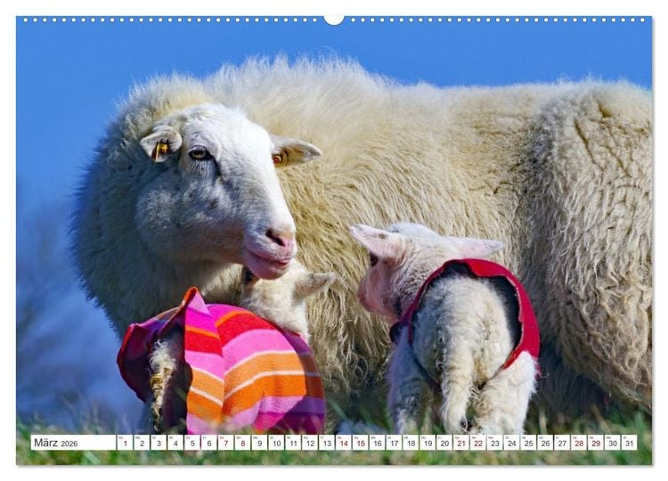 Produktbild: Wildes Wendland (Wandkalender 2026 DIN A2 quer), CALVENDO Monatskalender