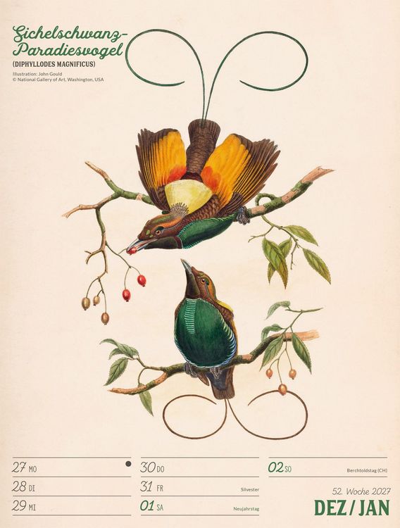 Produktbild: Wunderbare Vogelwelt Wochenplaner Kalender 2027