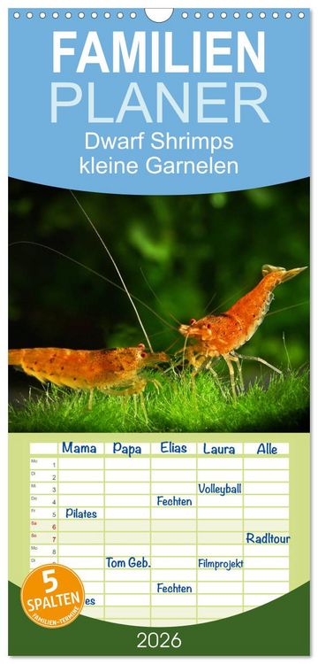 Produktbild: Familienplaner 2026 - Dwarf Shrimps - kleine Garnelen mit 5 Spalten (Wandkalender, 21 x 45 cm) CALVENDO