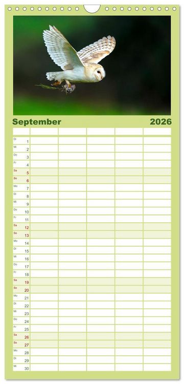 Produktbild: Familienplaner 2026 - Eulen - Wachsame und geheimnisvolle Augen mit 5 Spalten (Wandkalender, 21 x 45 cm) CALVENDO
