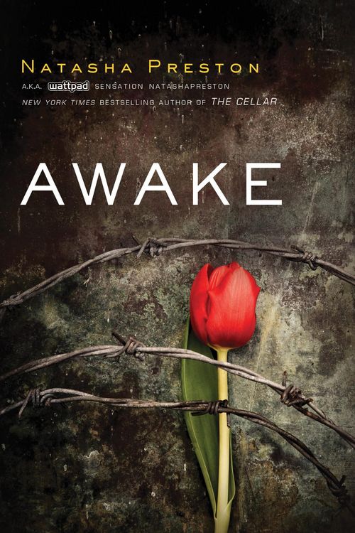 Produktbild: Awake