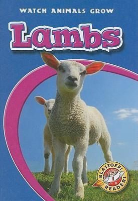 Produktbild: Lambs