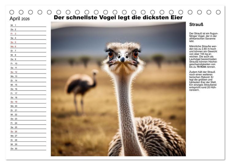 Produktbild: Tierische Rekorde (Tischkalender 2026 DIN A5 quer), CALVENDO Monatskalender