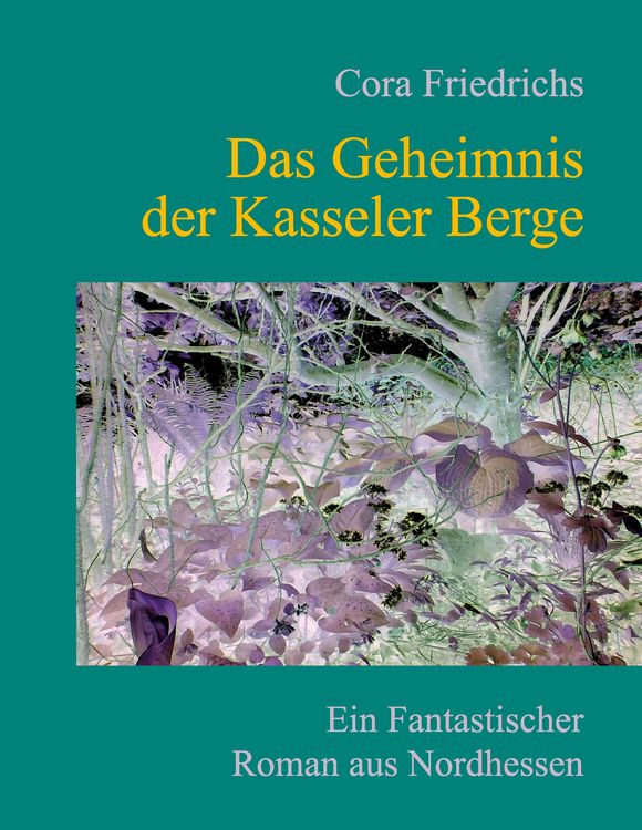 Produktbild: Das Geheimnis der Kasseler Berge