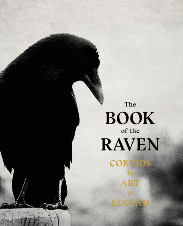 Produktbild: The Book of the Raven