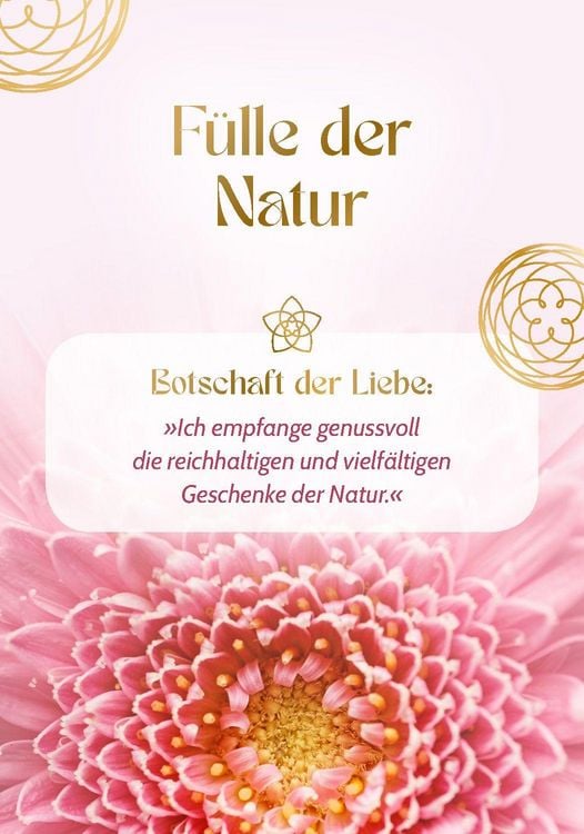 Produktbild: Blume der Liebe - 40 inspirierende Impulse f&uuml;r gelebte Liebe